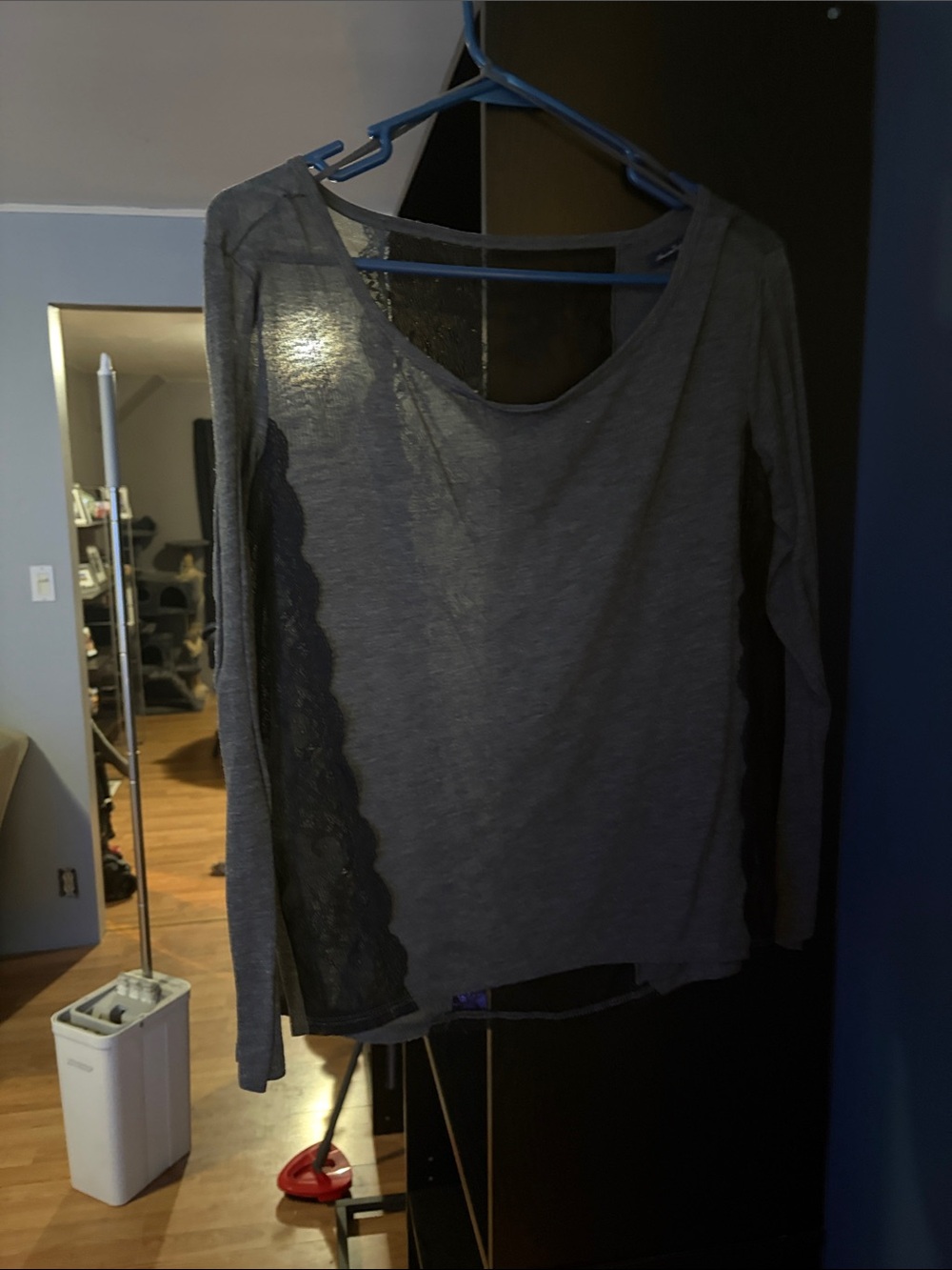 American Eagle Outfitters Gray Long Sleeve Top with Black Lace Panels